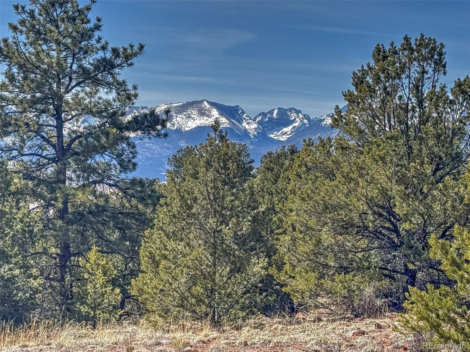 426 Arapahoe Road Westcliffe, CO 81252 - Photo 2 of 28