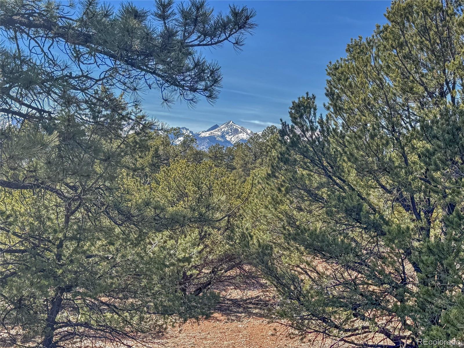 426 Arapahoe Road Westcliffe, CO 81252 - Photo 24 of 28