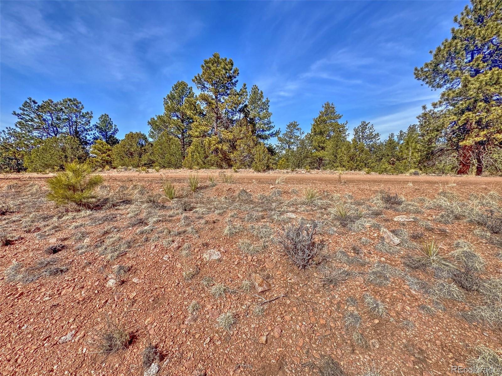 426 Arapahoe Road Westcliffe, CO 81252 - Photo 4 of 28