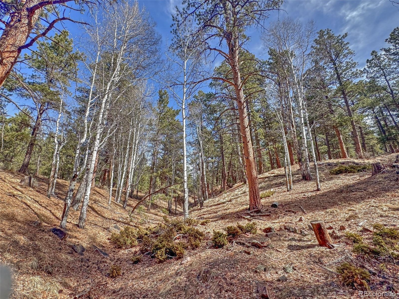 426 Arapahoe Road Westcliffe, CO 81252 - Photo 6 of 28