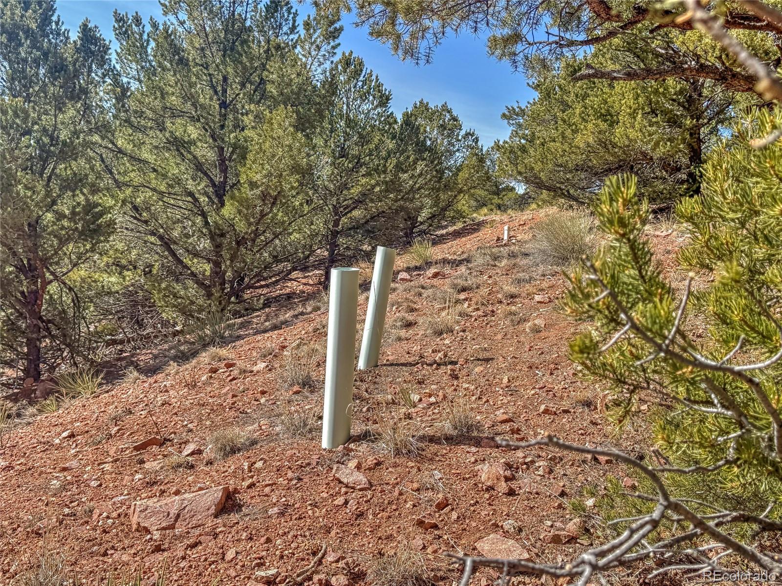 426 Arapahoe Road Westcliffe, CO 81252 - Photo 8 of 28