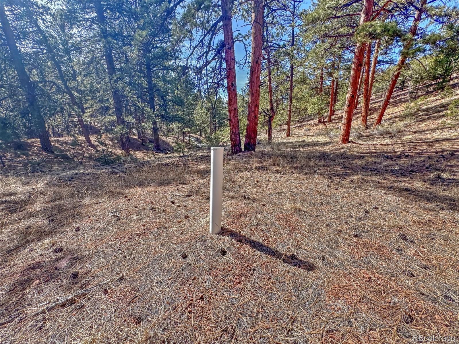 426 Arapahoe Road Westcliffe, CO 81252 - Photo 9 of 28