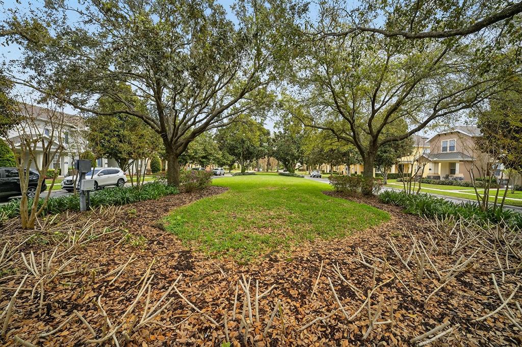 14239 Avenue Of The Groves Winter Garden, FL 34787 - Photo 27 of 54 a view of a yard with plants and large trees