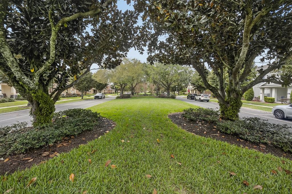 14239 Avenue Of The Groves Winter Garden, FL 34787 - Photo 28 of 54