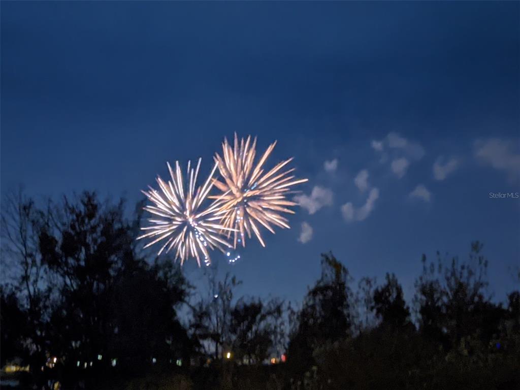 14239 Avenue Of The Groves Winter Garden, FL 34787 - Photo 29 of 54