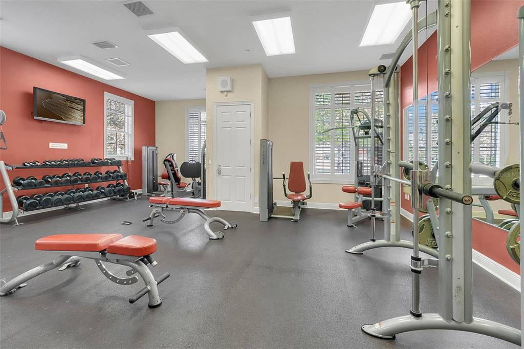 14239 Avenue Of The Groves Winter Garden, FL 34787 - Photo 36 of 54 a room with gym equipment and a large window