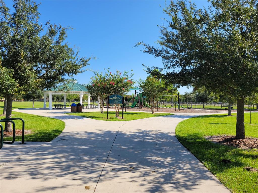 14239 Avenue Of The Groves Winter Garden, FL 34787 - Photo 44 of 54 a view of a swimming pool and trees in the background