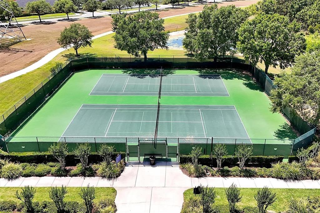 14239 Avenue Of The Groves Winter Garden, FL 34787 - Photo 50 of 54 a view of a swimming pool with a patio