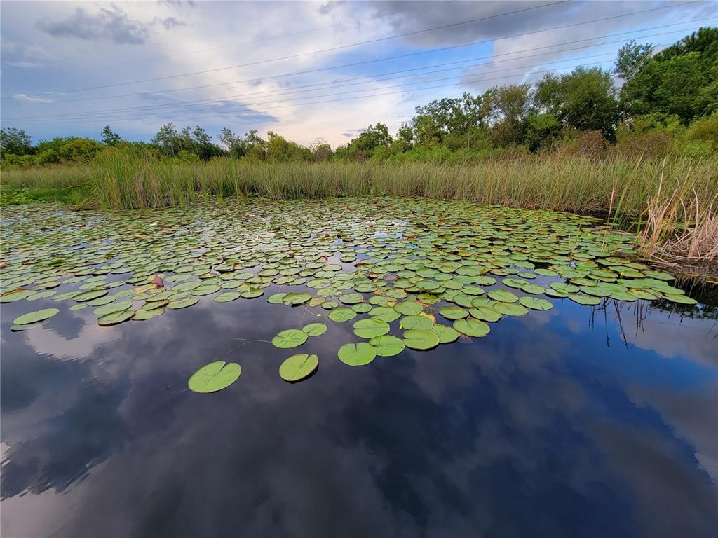 14239 Avenue Of The Groves Winter Garden, FL 34787 - Photo 52 of 54 a view of a lake with outdoor space