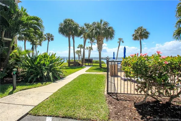a view of a yard with palm trees