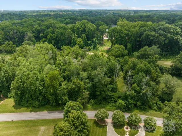 a view of a lush green forest with lawn chairs and plants