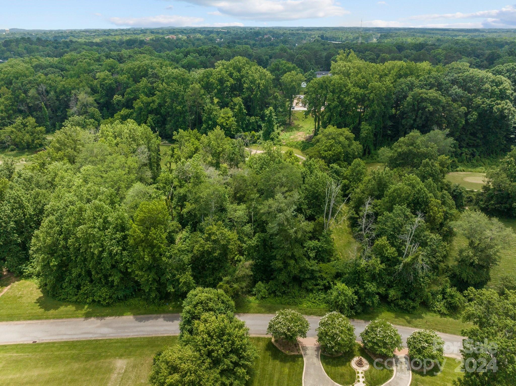 519 Riviera Drive Salisbury, NC 28144 - Photo 5 of 11 a view of a lush green forest with lawn chairs and plants