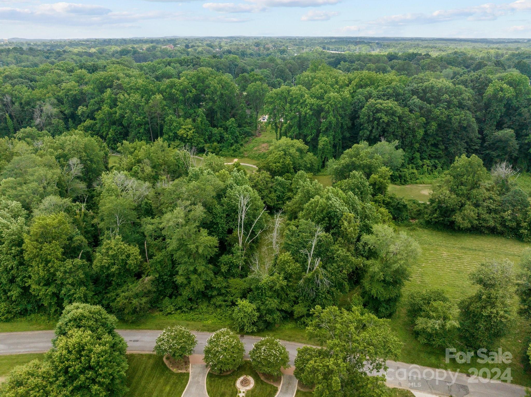 519 Riviera Drive Salisbury, NC 28144 - Photo 6 of 11 an aerial view of green landscape with trees houses and mountain view