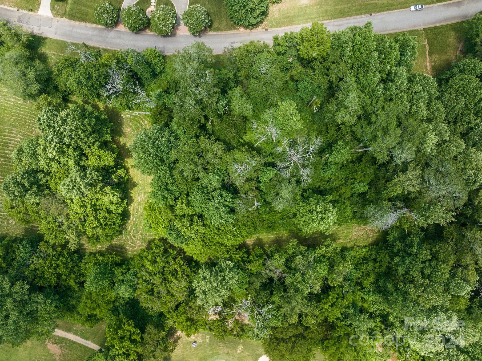 519 Riviera Drive Salisbury, NC 28144 - Photo 8 of 11 a view of a lush green forest