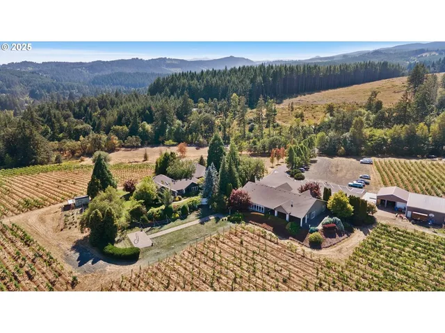 a view of a house with a big yard and potted plants