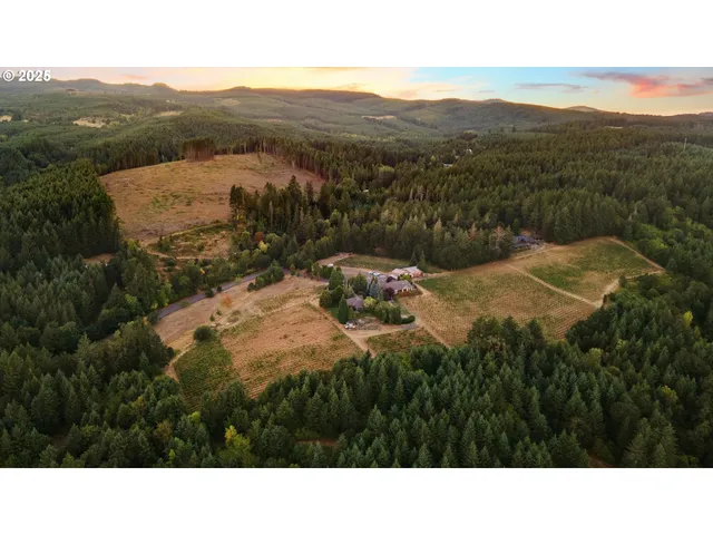 a black and white photo of a field