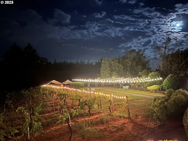 a view of city and mountain