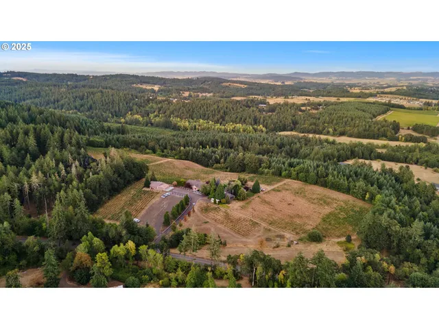 a view of a yard with a tree