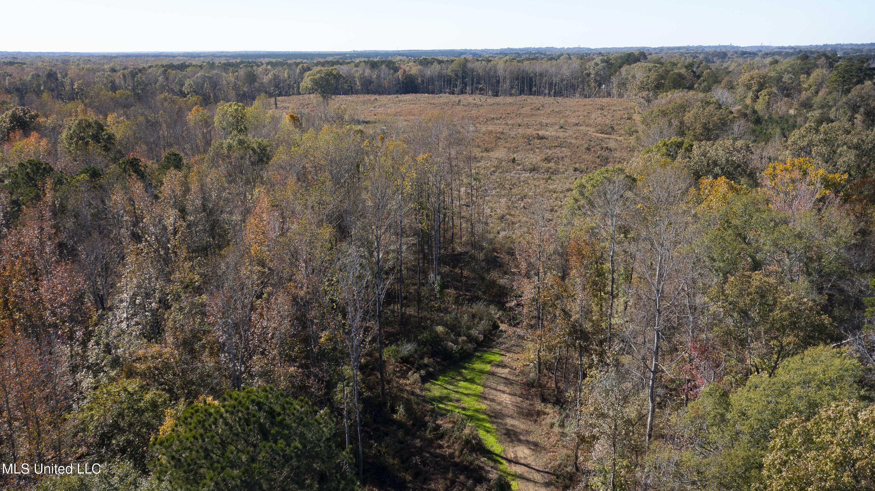 347.14 Acres Bridges Road Brandon, MS 39042 - Photo 16 of 39 Bridges Rd-108