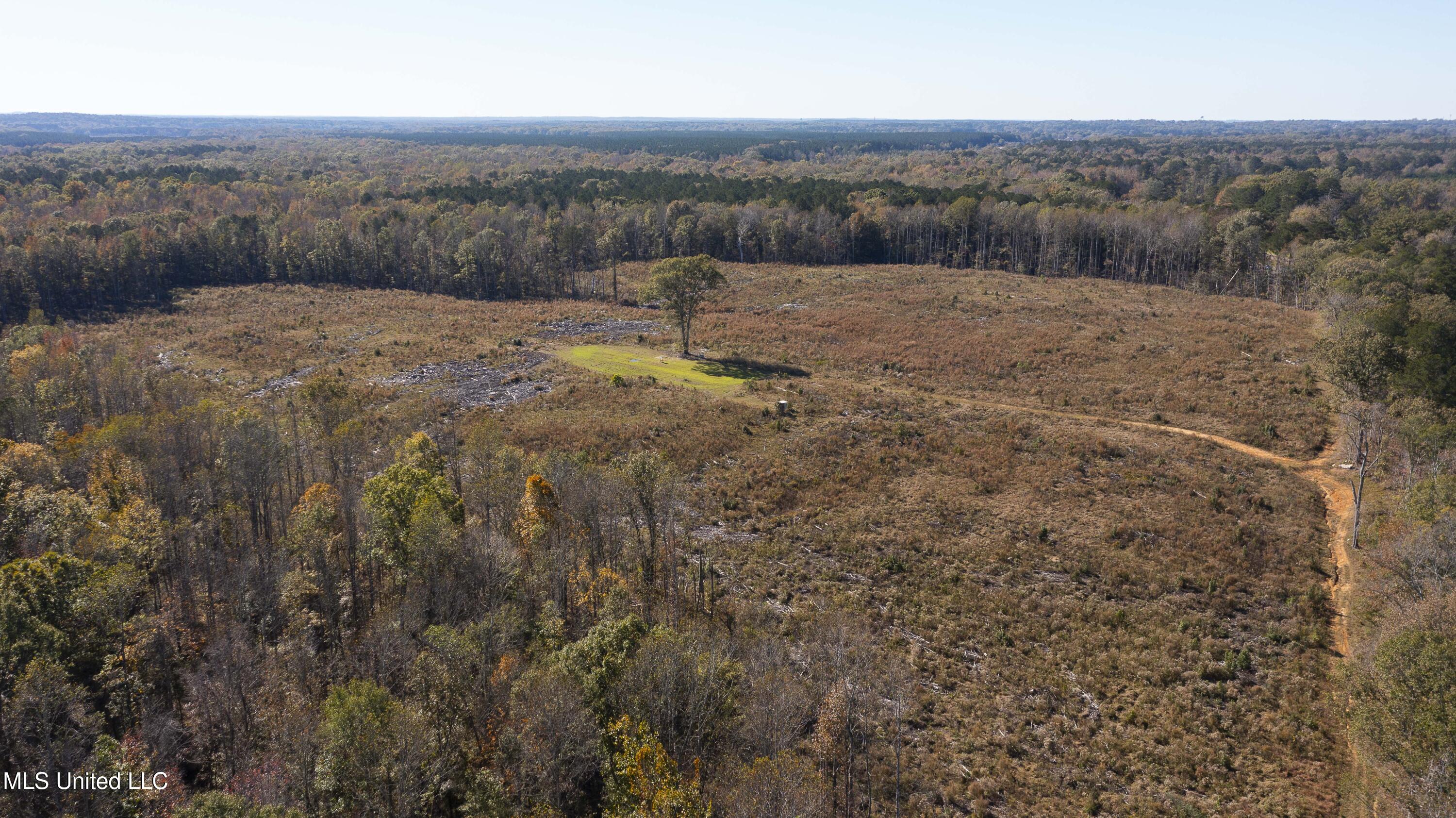 347.14 Acres Bridges Road Brandon, MS 39042 - Photo 17 of 39 Bridges Rd-109