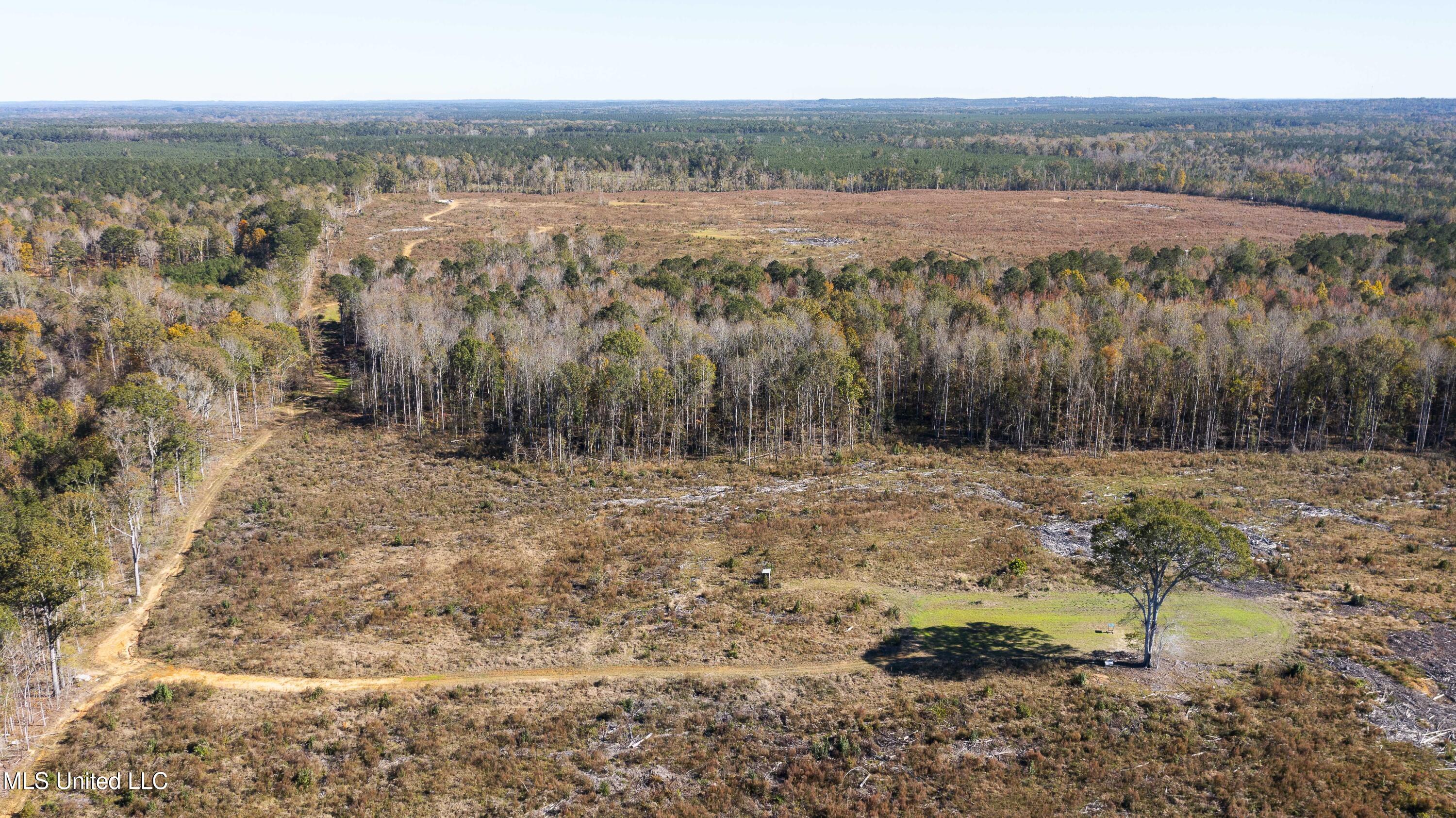 347.14 Acres Bridges Road Brandon, MS 39042 - Photo 19 of 39 Bridges Rd-111