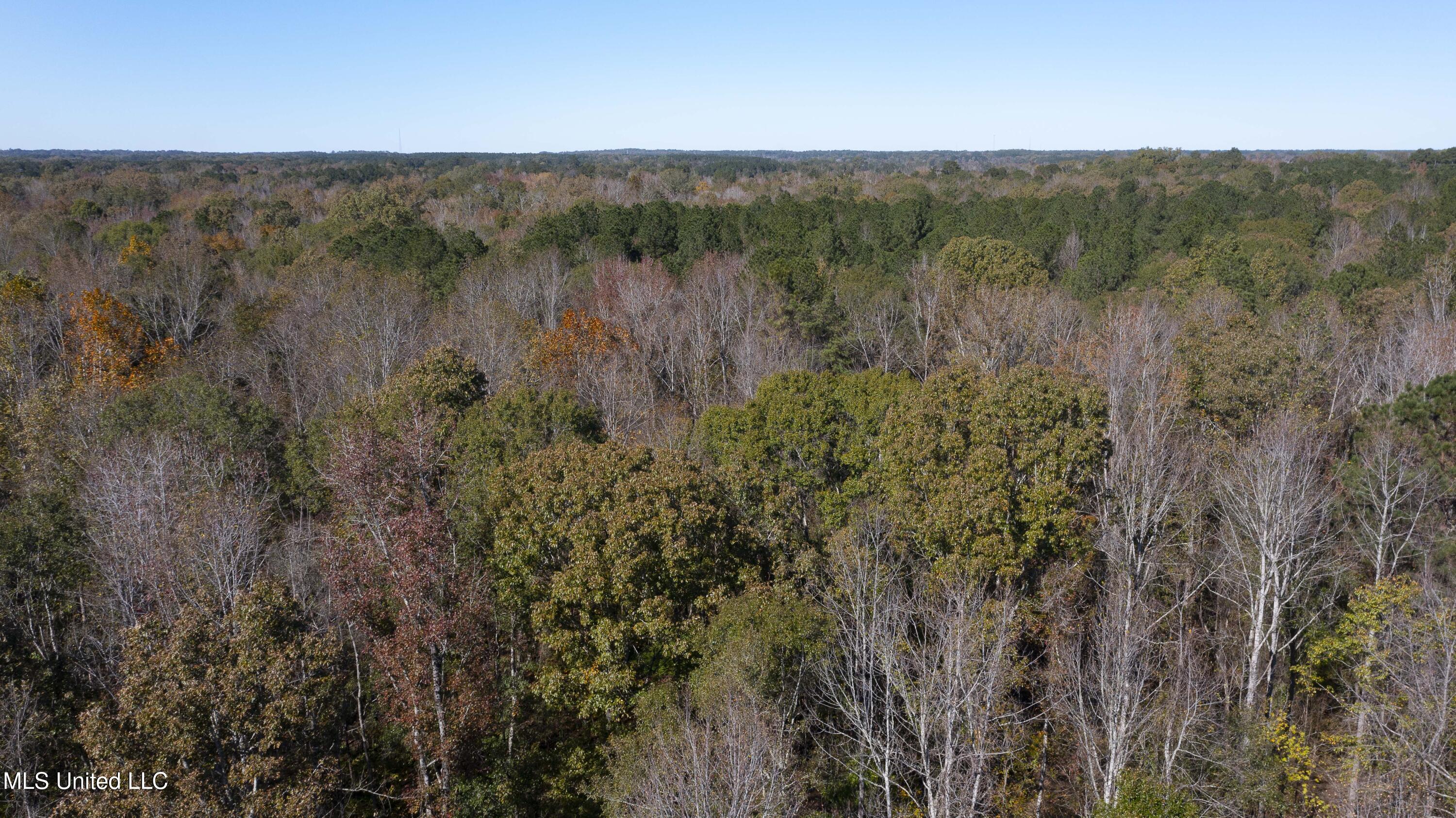 347.14 Acres Bridges Road Brandon, MS 39042 - Photo 36 of 39 Bridges Rd-128