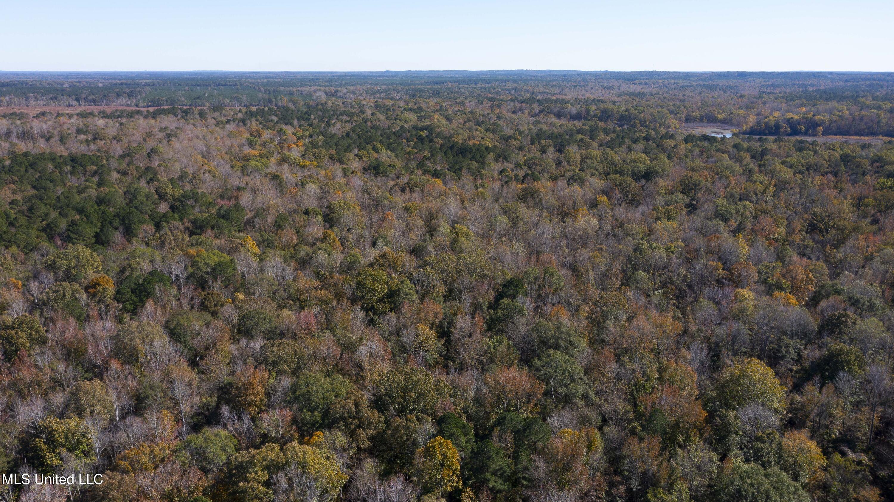 347.14 Acres Bridges Road Brandon, MS 39042 - Photo 6 of 39 Bridges Rd-101 A