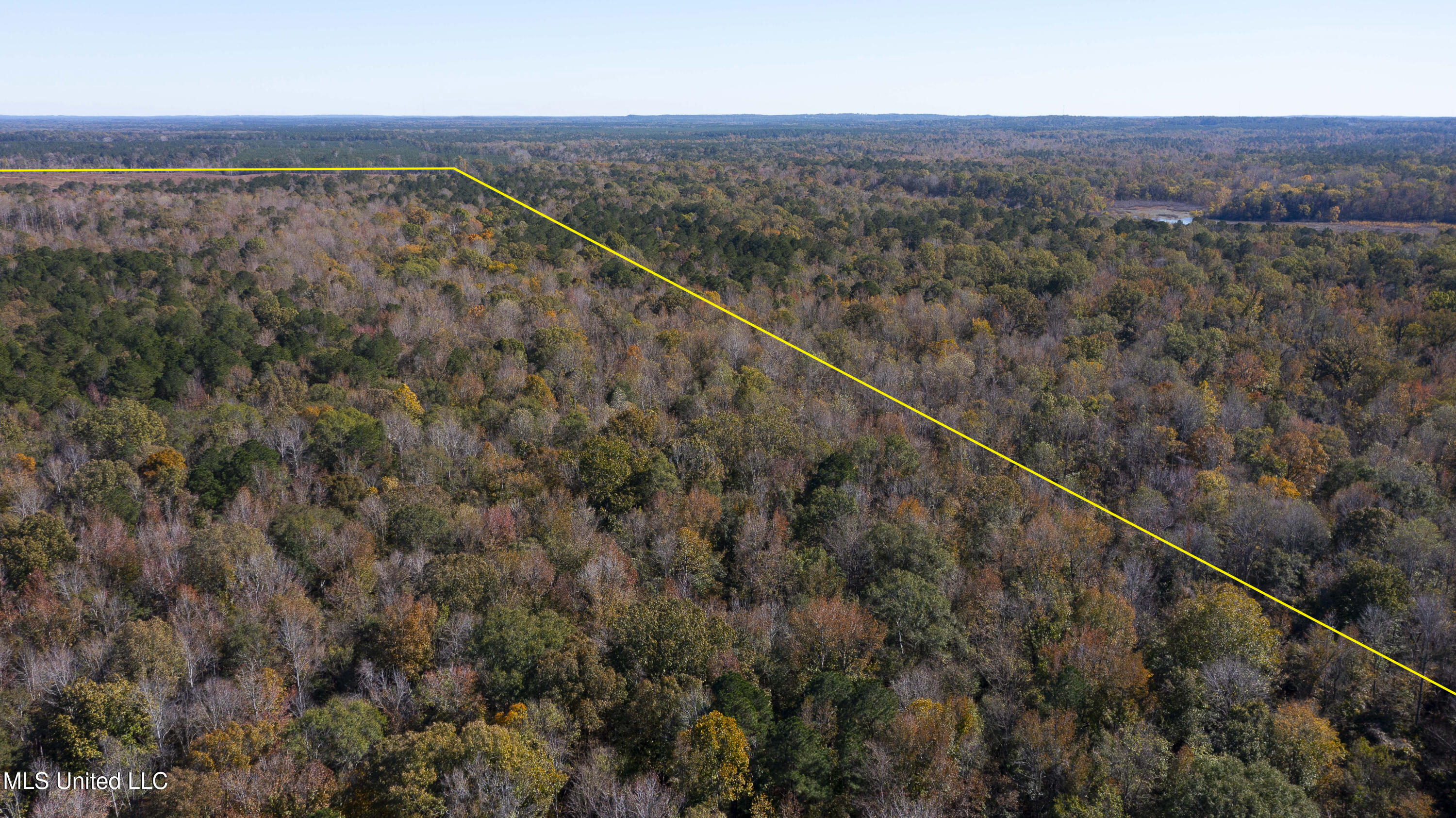 347.14 Acres Bridges Road Brandon, MS 39042 - Photo 7 of 39 Bridges Rd-101 B