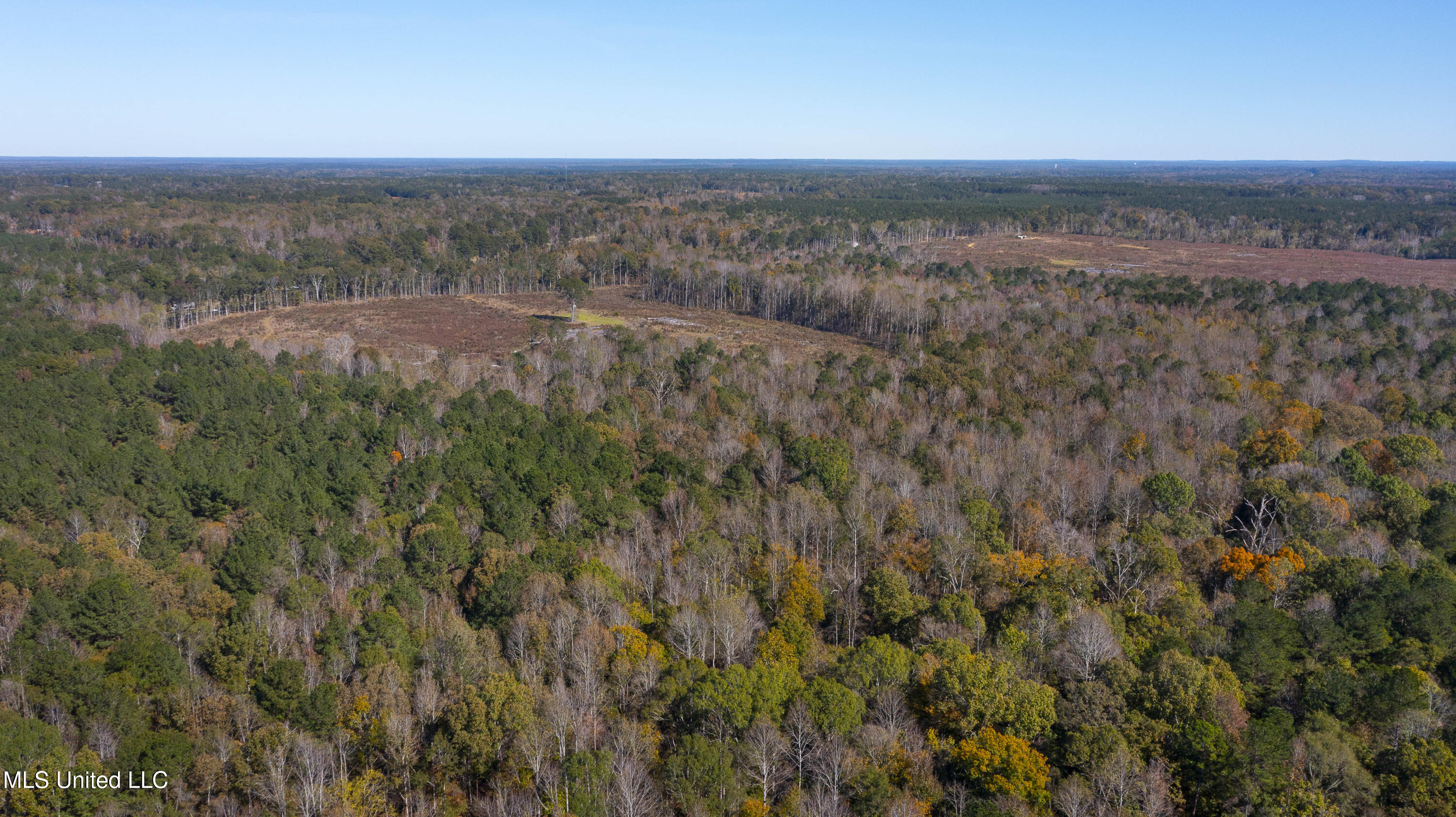 347.14 Acres Bridges Road Brandon, MS 39042 - Photo 8 of 39 Bridges Rd-102 A