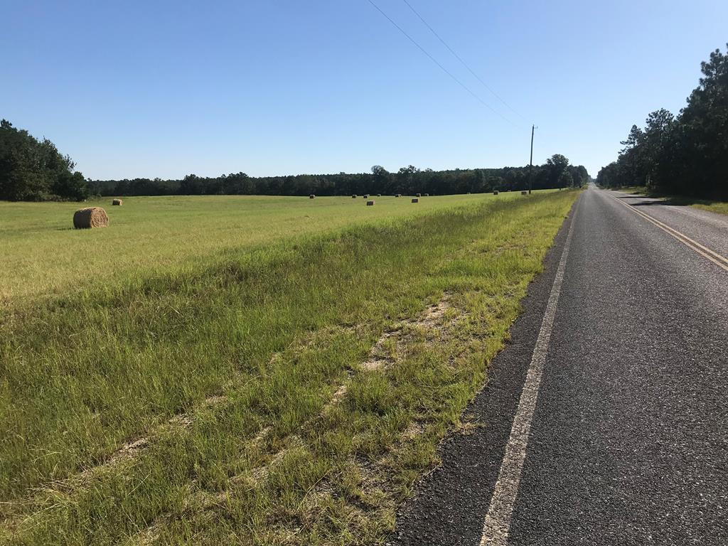 462 Colbert Bridge Road Windsor, SC 29856 - Photo 2 of 18