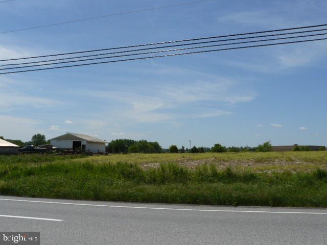2540 Cape Horn Road Red Lion, PA 17356 - Photo 10 of 14 a view of a grassy field with trees