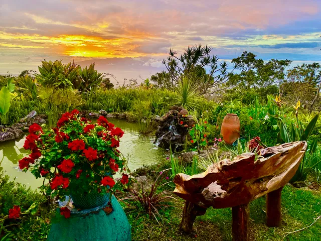 a view of a garden with sitting area