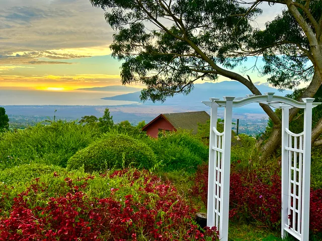 a view of a yard with an outdoor space