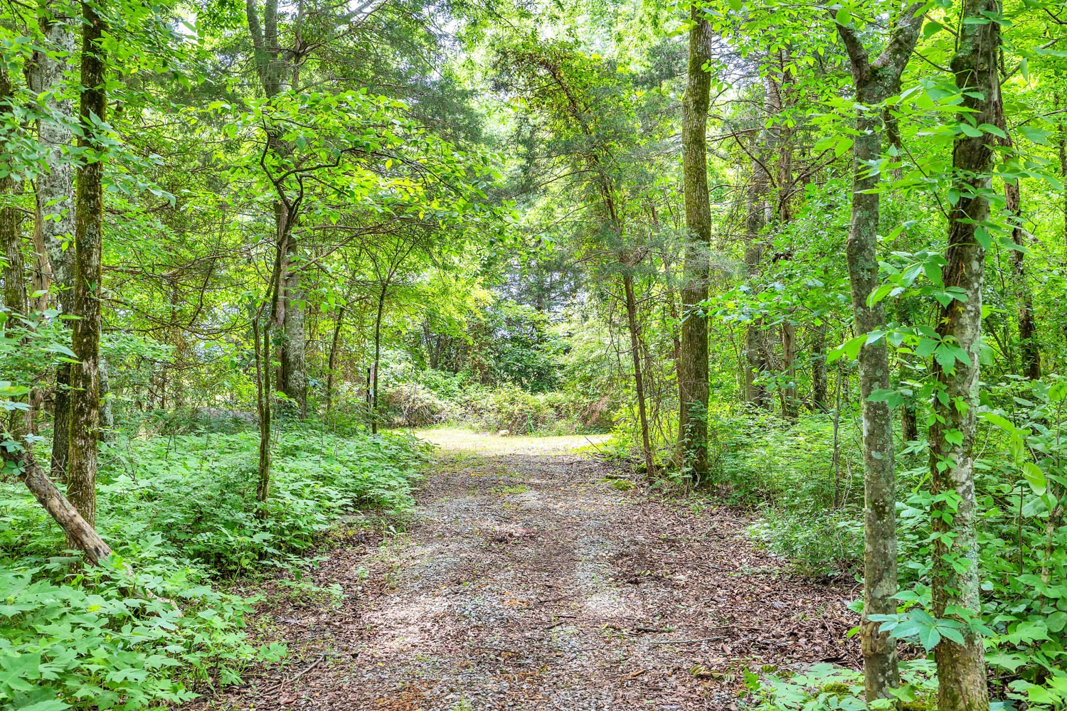 11244 Karo Road Christiana, TN 37037 - Photo 70 of 70 Gallery Image 70