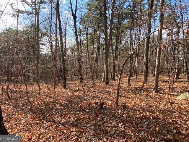 0 Quail Way, Unit LOT 533 Jasper, GA 30143 - Photo 3 of 9 a view of a forest filled with trees