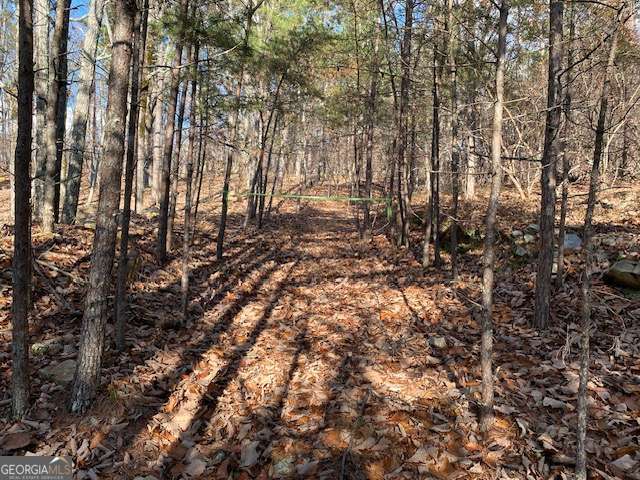 0 Quail Way, Unit LOT 533 Jasper, GA 30143 - Photo 4 of 9 a view of yard