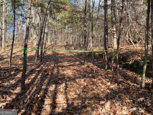 0 Quail Way, Unit LOT 533 Jasper, GA 30143 - Photo 5 of 9 a view of outdoor space