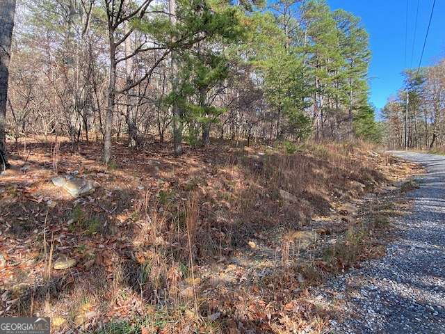 0 Quail Way, Unit LOT 533 Jasper, GA 30143 - Photo 7 of 9