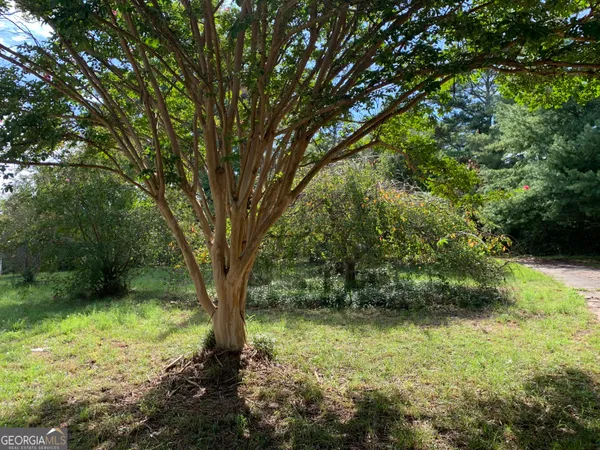 a view of outdoor space and yard