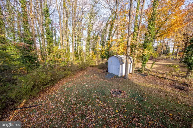 a backyard of a house with a trees