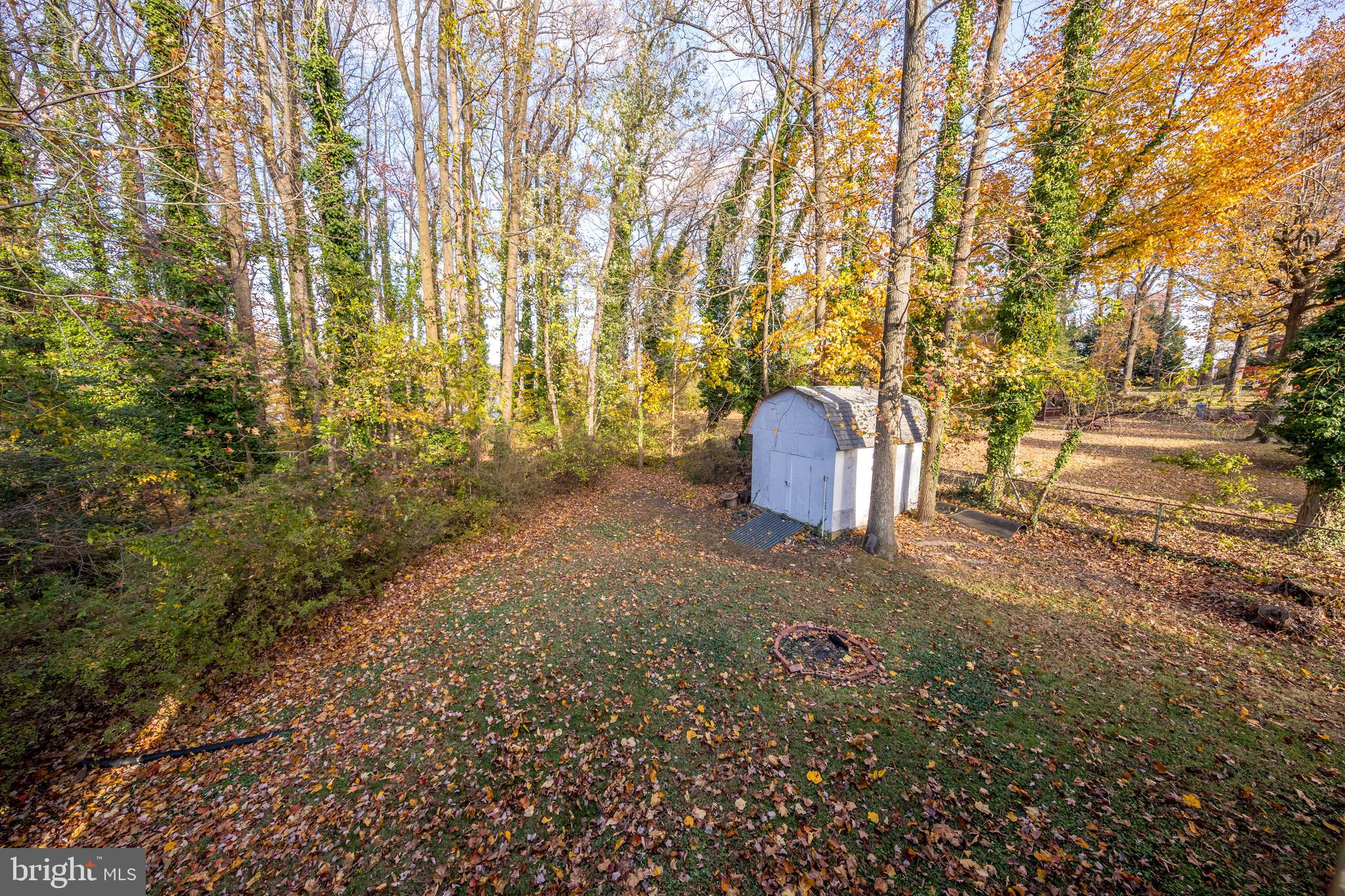 20 Glade Avenue Baltimore, MD 21236 - Photo 16 of 42 a backyard of a house with a trees