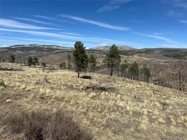 $39,999 | 184 Forbes Park Road, Fort Garland, CO 81133