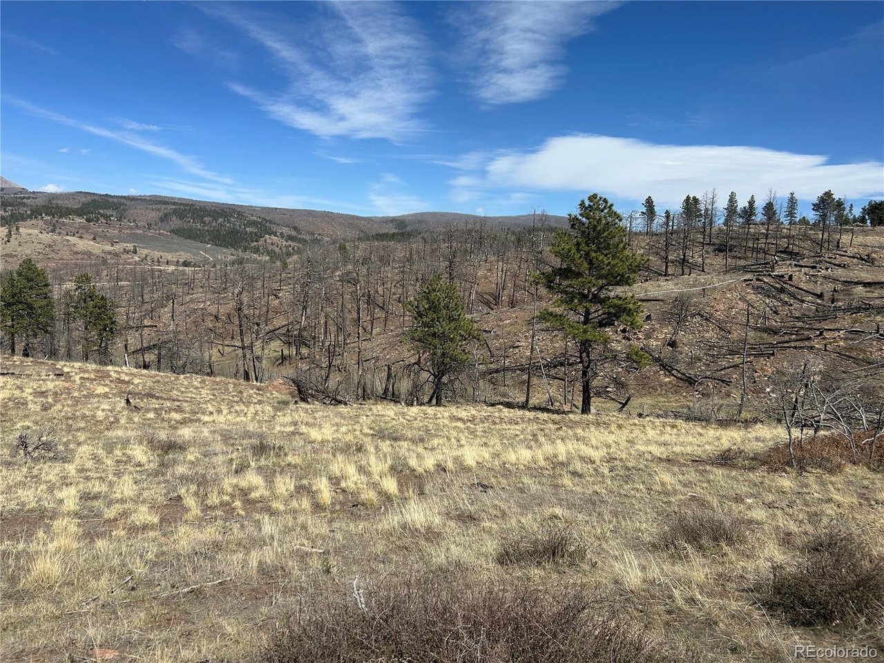 184 Forbes Park Road Fort Garland, CO 81133 - Photo 13 of 13 a view of a dry yard with wooden fence