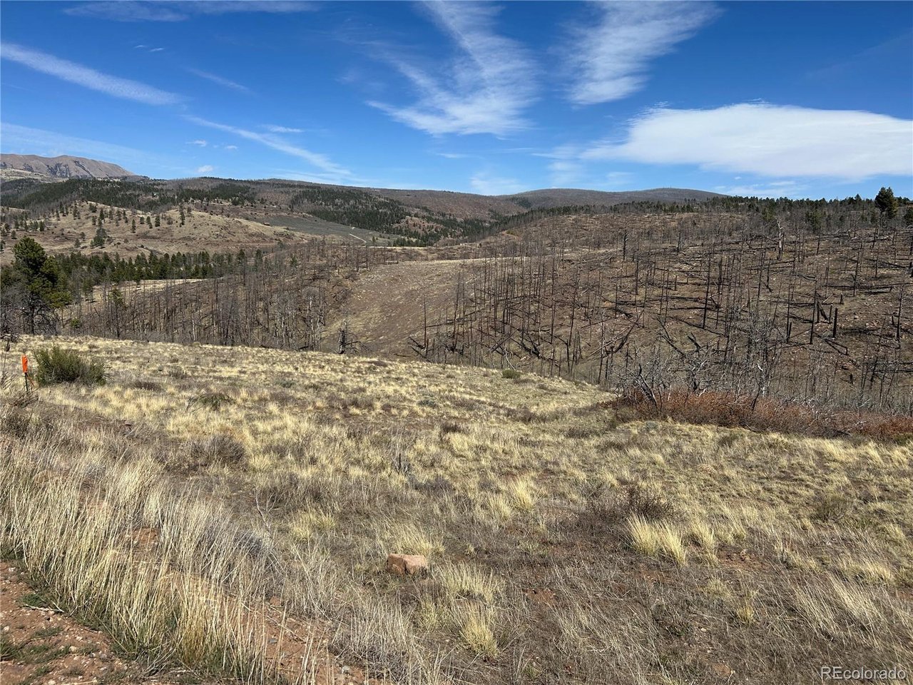 184 Forbes Park Road Fort Garland, CO 81133 - Photo 5 of 13
