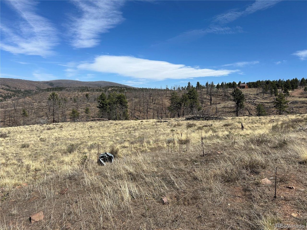 184 Forbes Park Road Fort Garland, CO 81133 - Photo 6 of 13