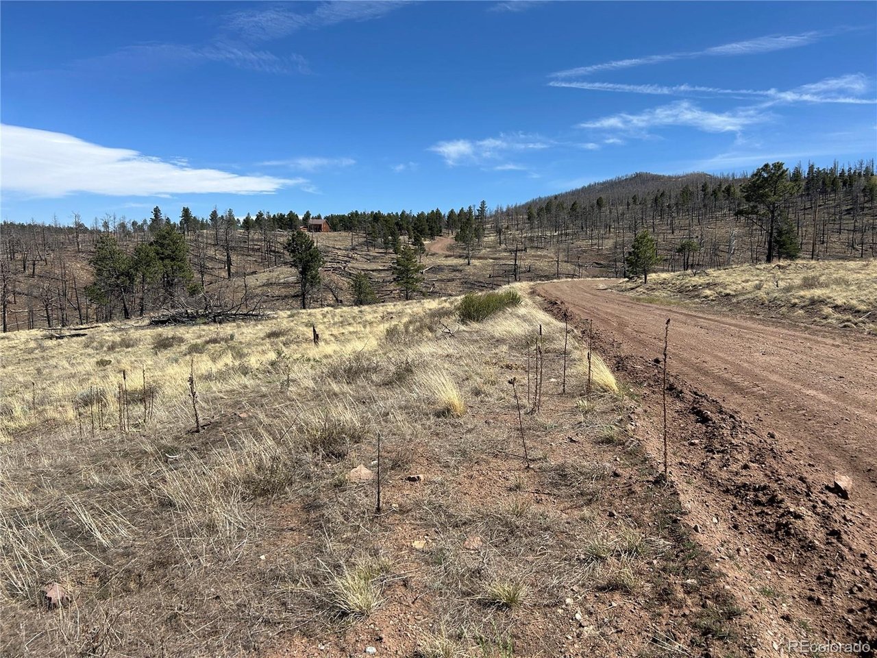 184 Forbes Park Road Fort Garland, CO 81133 - Photo 7 of 13 a view of a yard with mountains in the background