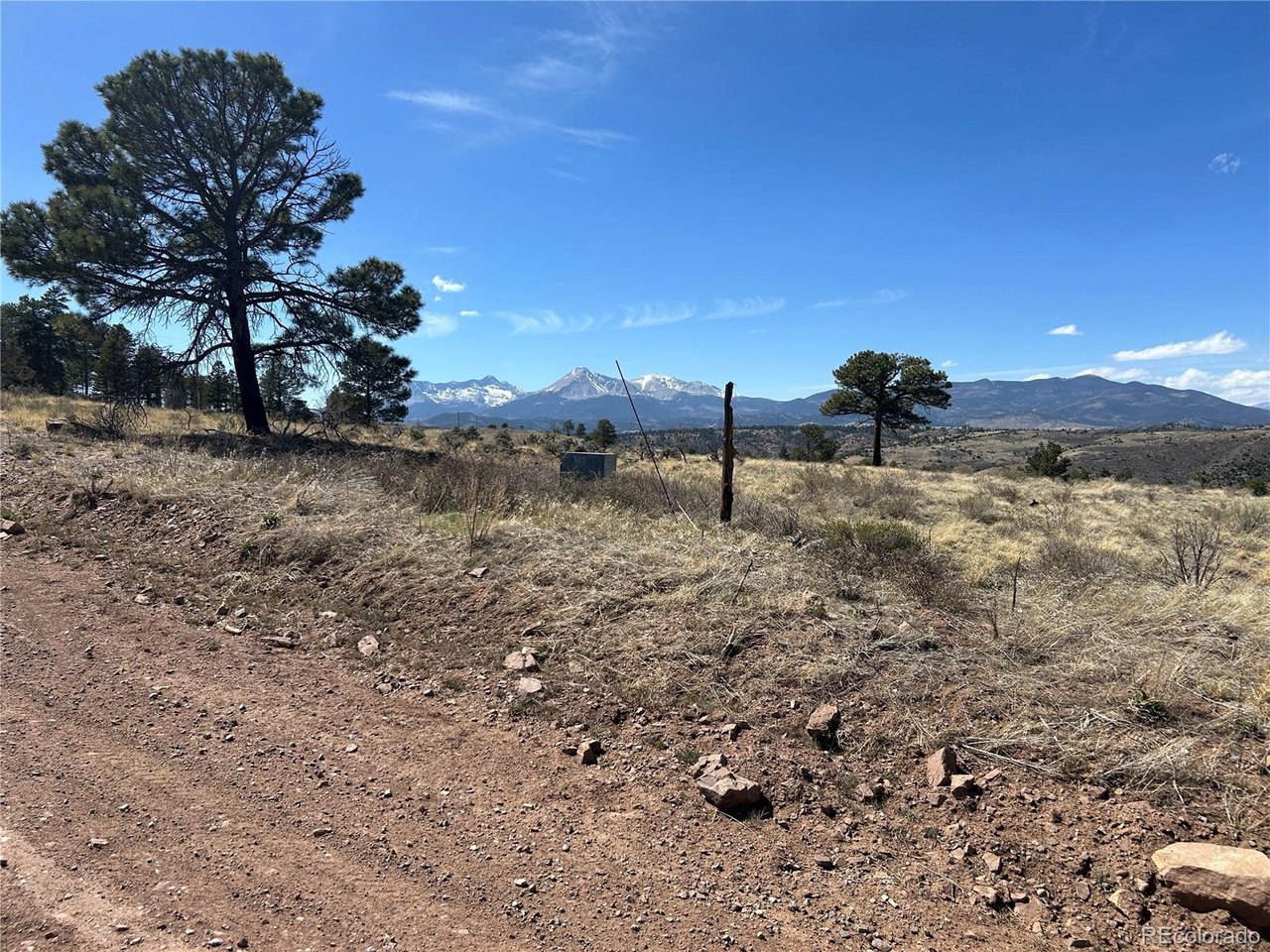 184 Forbes Park Road Fort Garland, CO 81133 - Photo 10 of 13 a view of a yard with a tree