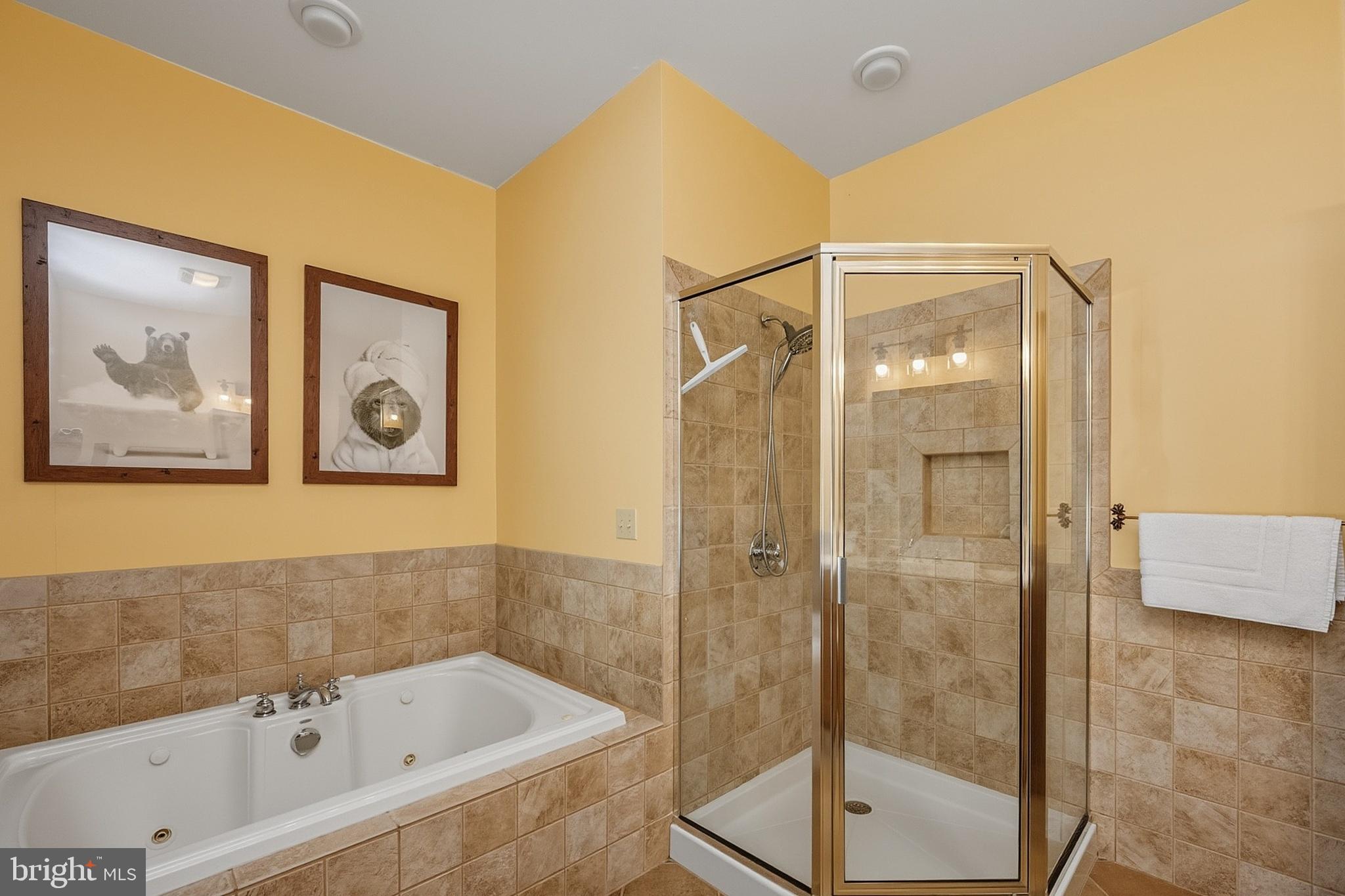185 Ruta Lane Swanton, MD 21561 - Photo 32 of 81 a bathroom with a bathtub and a shower
