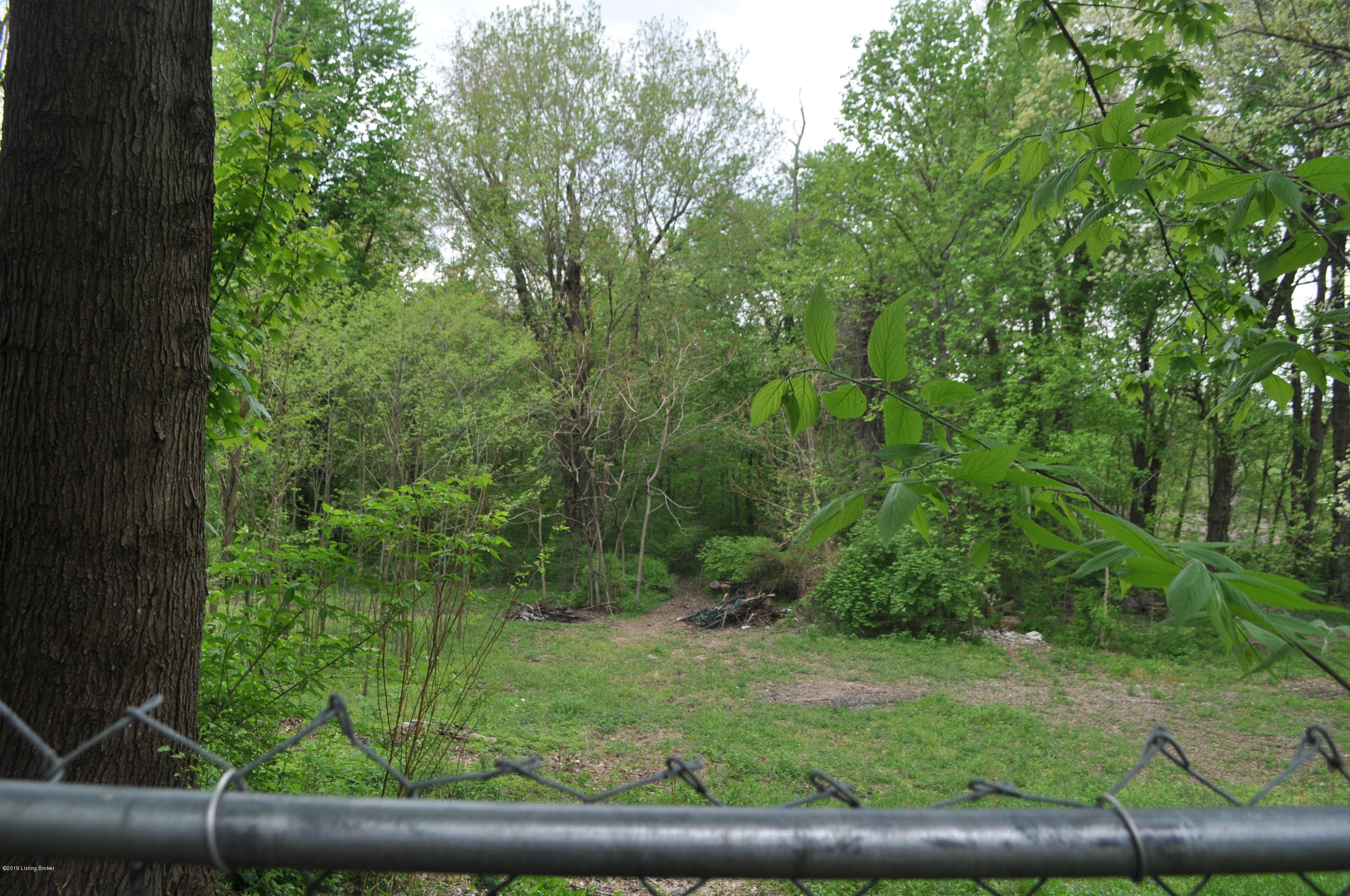 6904 Rutledge Road Louisville, KY 40258 - Photo 21 of 25 DSC_0268