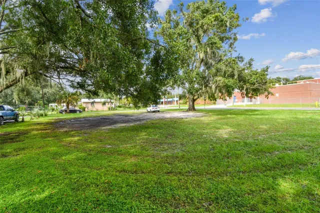a view of a ground with large trees